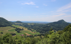 Img_5271
