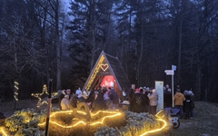 2511$Waldweihnacht 2025