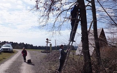 Dscf0547