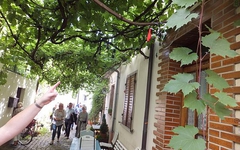 Dscf1356