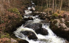 Img_8427