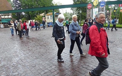 1905$Ausflug Europapark 20.05.2019