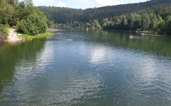 P1030802