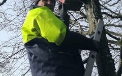 Nistkästen Säuberung Dezember 2022 1