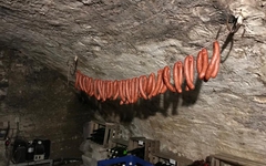 Bauernbratwürste